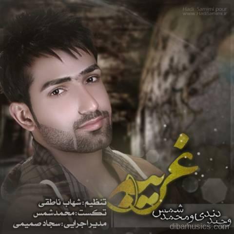آهنگ وحید دندی و محمد شمس به نام غریبه