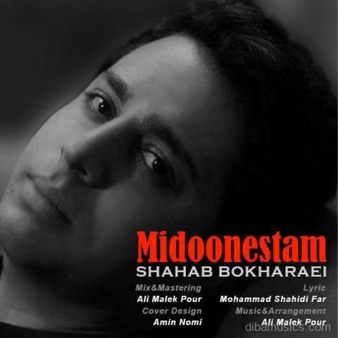 آهنگ شهاب بخارایی به نام میدونستم