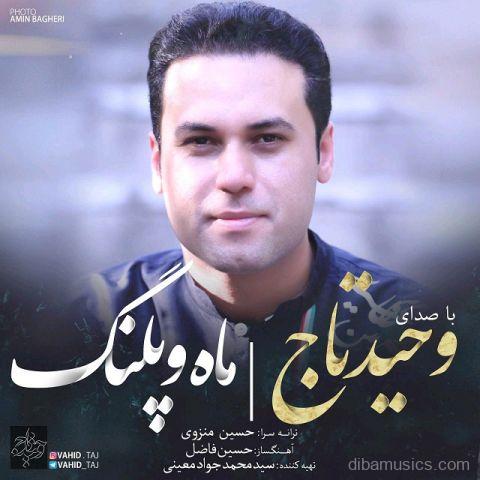 آهنگ وحید تاج به نام ماه و پلنگ