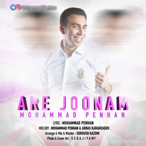 آهنگ محمد پنهان به نام آره جونم