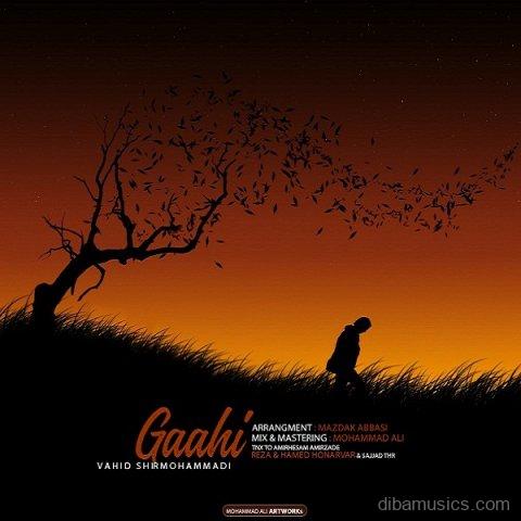 آهنگ وحید شیر محمدی به نام گاهی