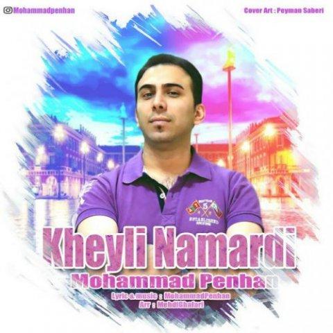 آهنگ محمد پنهان به نام خیلی نامردی
