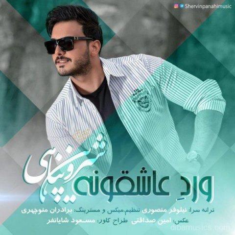 آهنگ شروین پناهی به نام ورد عاشقونه