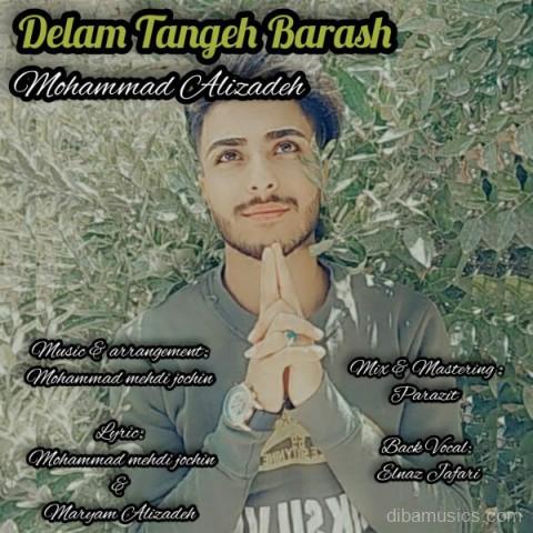 آهنگ محمد علیزاده به نام دلم تنگه براش