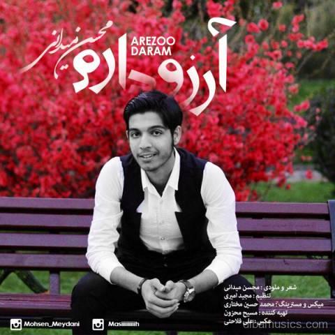 آهنگ محسن میدانی به نام آرزو دارم