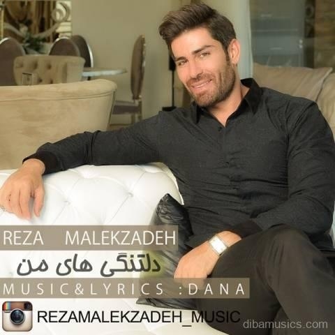 آهنگ رضا ملک زاده به نام دلتنگی های من
