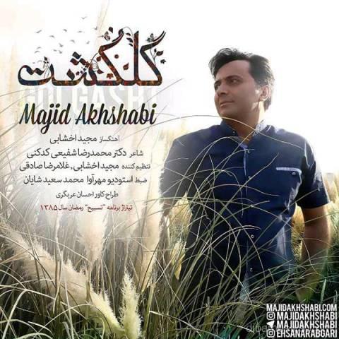 آهنگ مجید اخشابی به نام گلگشت