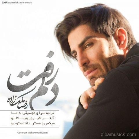 آهنگ رضا ملک زاده به نام دلم رفت