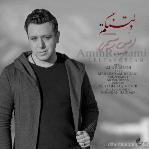 آهنگ امین رستمی به نام دلتنگتم