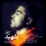 دانلود آهنگ مجتبی فغانی شهید متن شعر و کیفیت عالی