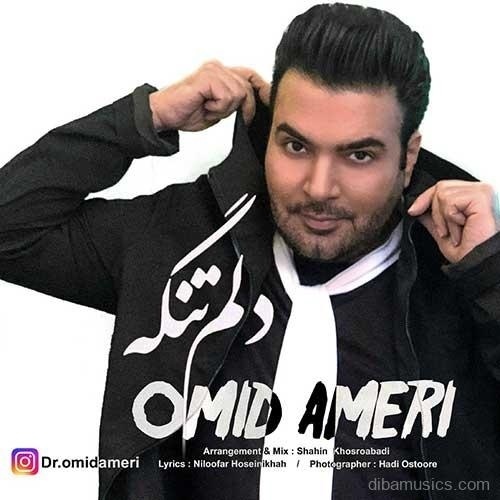 آهنگ امید آمری به نام دلم تنگه