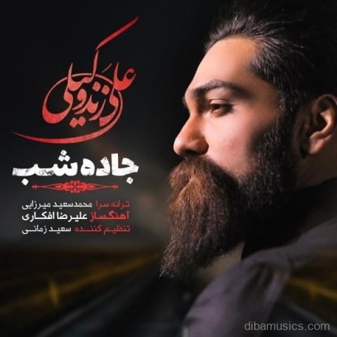 آهنگ علی زند وکیلی به نام جاده شب