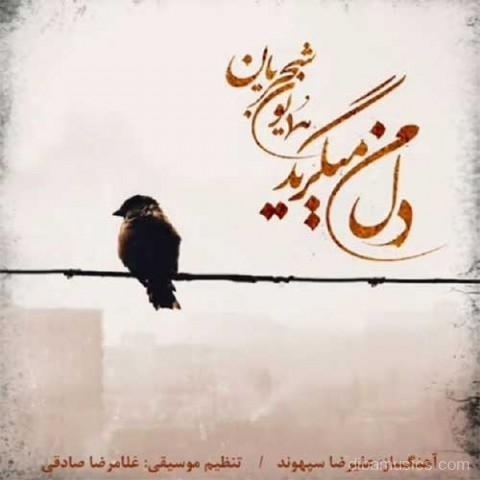 آهنگ همایون شجریان به نام دل من میگرید