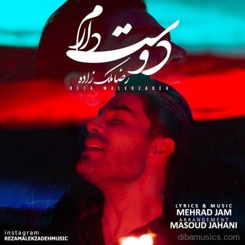 آهنگ رضا ملک زاده به نام دوست دارم