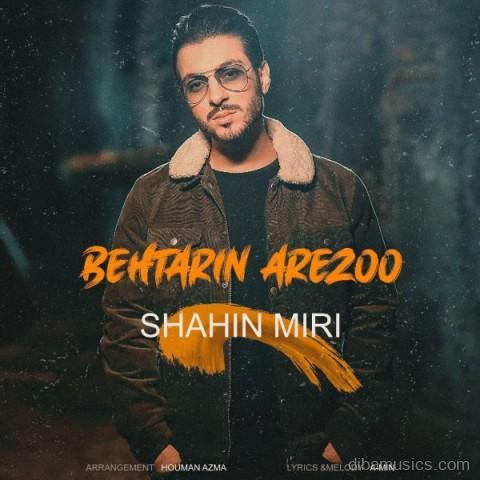 آهنگ شاهین میری به نام بهترین آرزو
