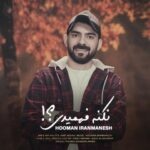 دانلود آهنگ هومن ایرانمنش نکنه فهمیدی متن ترانه کیفیت عالی