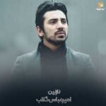 دانلود آهنگ جدید نازنین از امیرعباس گلاب