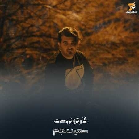 سعید عجم کار تو نیست