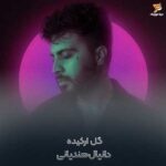 دانلود آهنگ دانیال هندیانی گل ارکیده