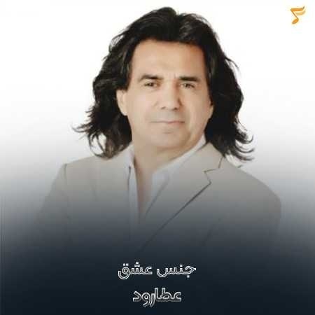 عطارود جنس عشق