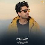 دانلود آهنگ خیلی تنهام خونمو برد سیل غم ها ناصر پورکرم