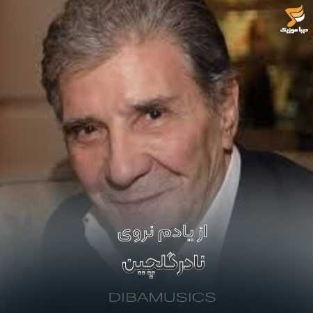نادر گلچین از یادم نروی