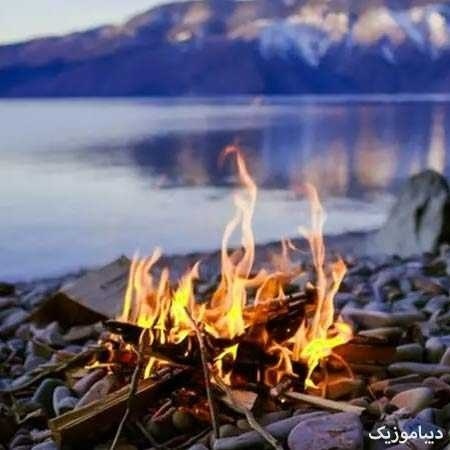  کله سیاهه بی مغز شرقی  خوش حساب شدن