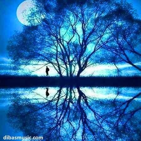 داره میشه هوا سردو  برگا زرد داره میشه