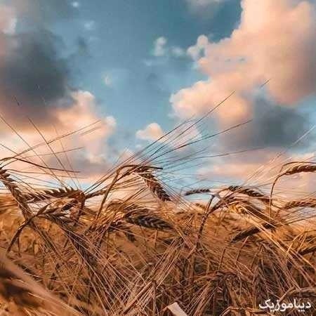 کجای دنیام بابی خرابه  اونجا آدم لاشی نداره