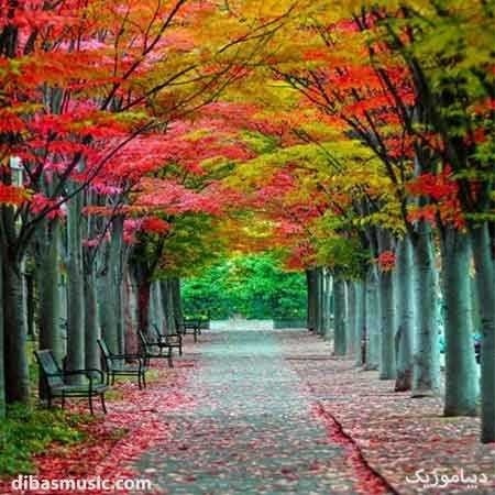 خیال کردی مث قدیم واس  تو له له میزنم