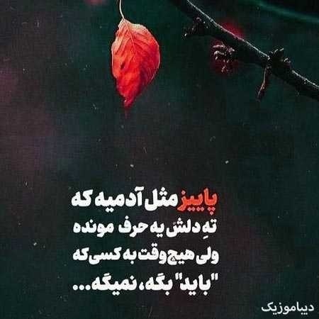 میون این همه خوشگل  کیو انتخاب کنم