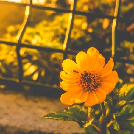 تصویر مطلب