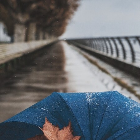 تصویر مطلب