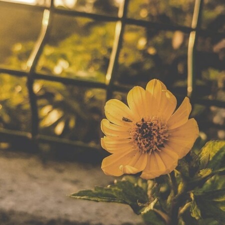 تصویر مطلب