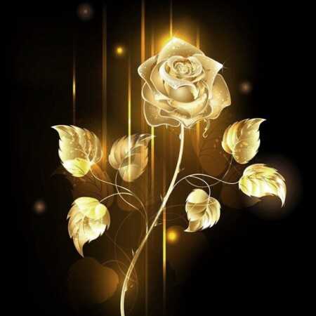 خداحافظ ای جوانی من