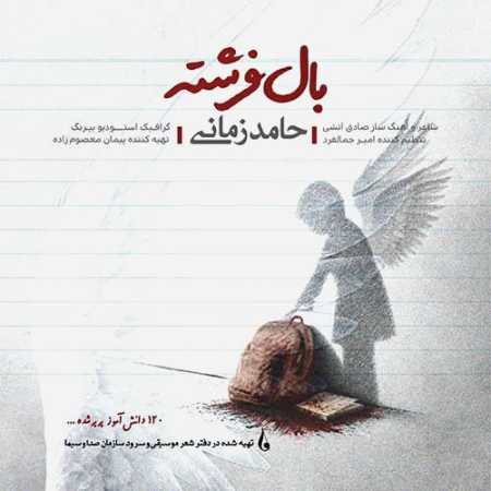 حامد زمانی بال فرشته