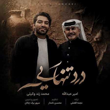 امیر عبدالله و محمد زند وکیلی درد تنهایی