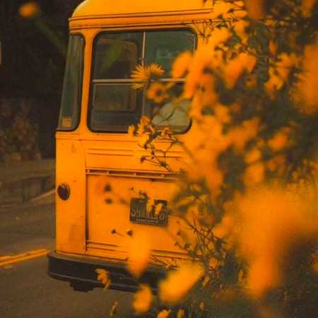 گله دارم از این دنیای وارونه با صدای زن