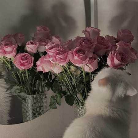 جنسش چطوره مثه خودته
