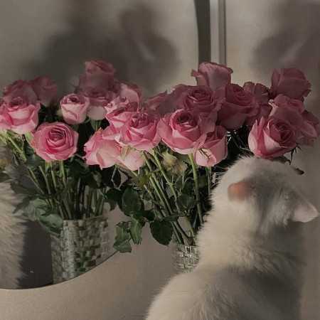 کشته منا گلا باگ بلبلا با صدای زن