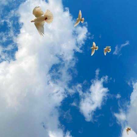 اسپانیایی ما فقط بچه بودیم