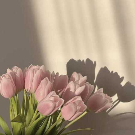 نمیتونم غمت بردارم از دل با صدای زن