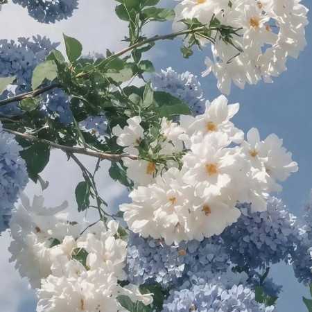 ترکیبی تو به جای منم داری زجر میکشی