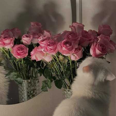 یکی منو گردن بگیره