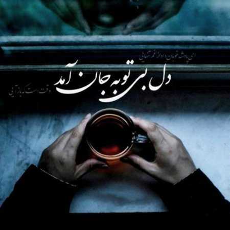 الهی خونش خراب شه هر دو چشمونش پر آب شه با صدای زن