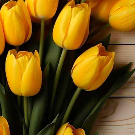 میدونی جز تو یار ندارم هوای ترک دیار ندارم با صدای زن