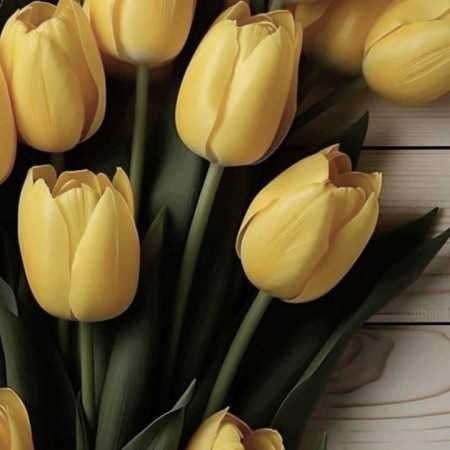 ار نبینمش خرابم مینل