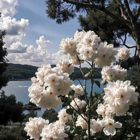 لای موهای تو باد میپیچه من دلم شماله