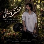 دانلود آهنگ والایار تمشک وحشی