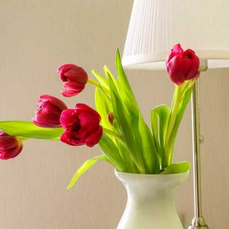 ویرون بشی ای دل الهی خون بشی ای دل